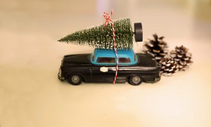 Tree-on-car